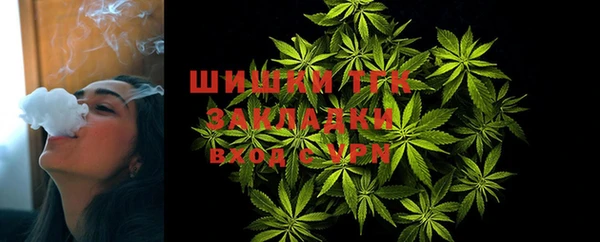 метадон Заводоуковск