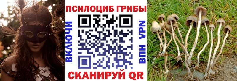 гидра ссылка  Ивангород  Галлюциногенные грибы прущие грибы  даркнет сайт 